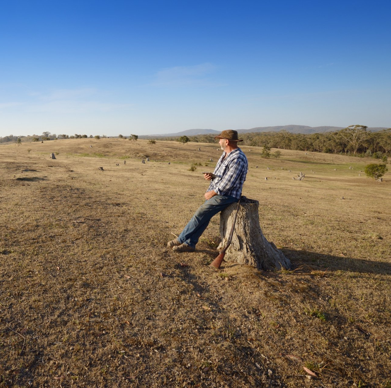 Wooden Fence - Bendigo, VIC -  Action Fencing & Contracting