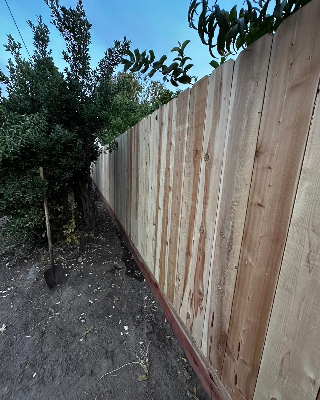 Tall wooden fence beside a dirt path, with trees and bushes along the left side.