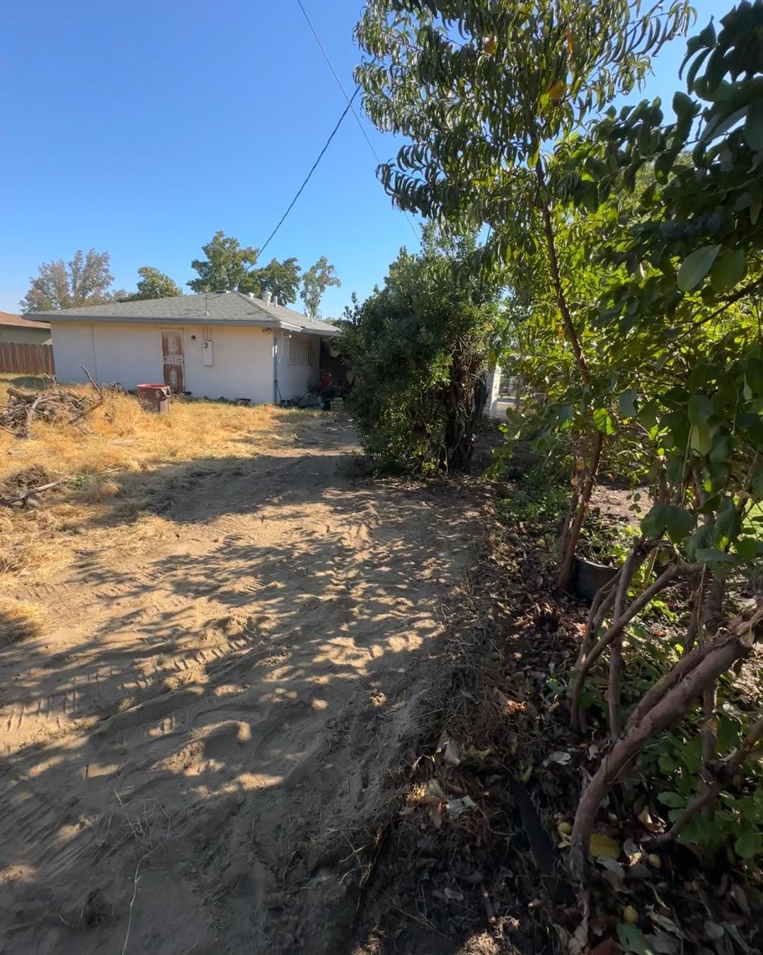 Dirt path beside a house, with dry brush and trees under a clear blue sky.