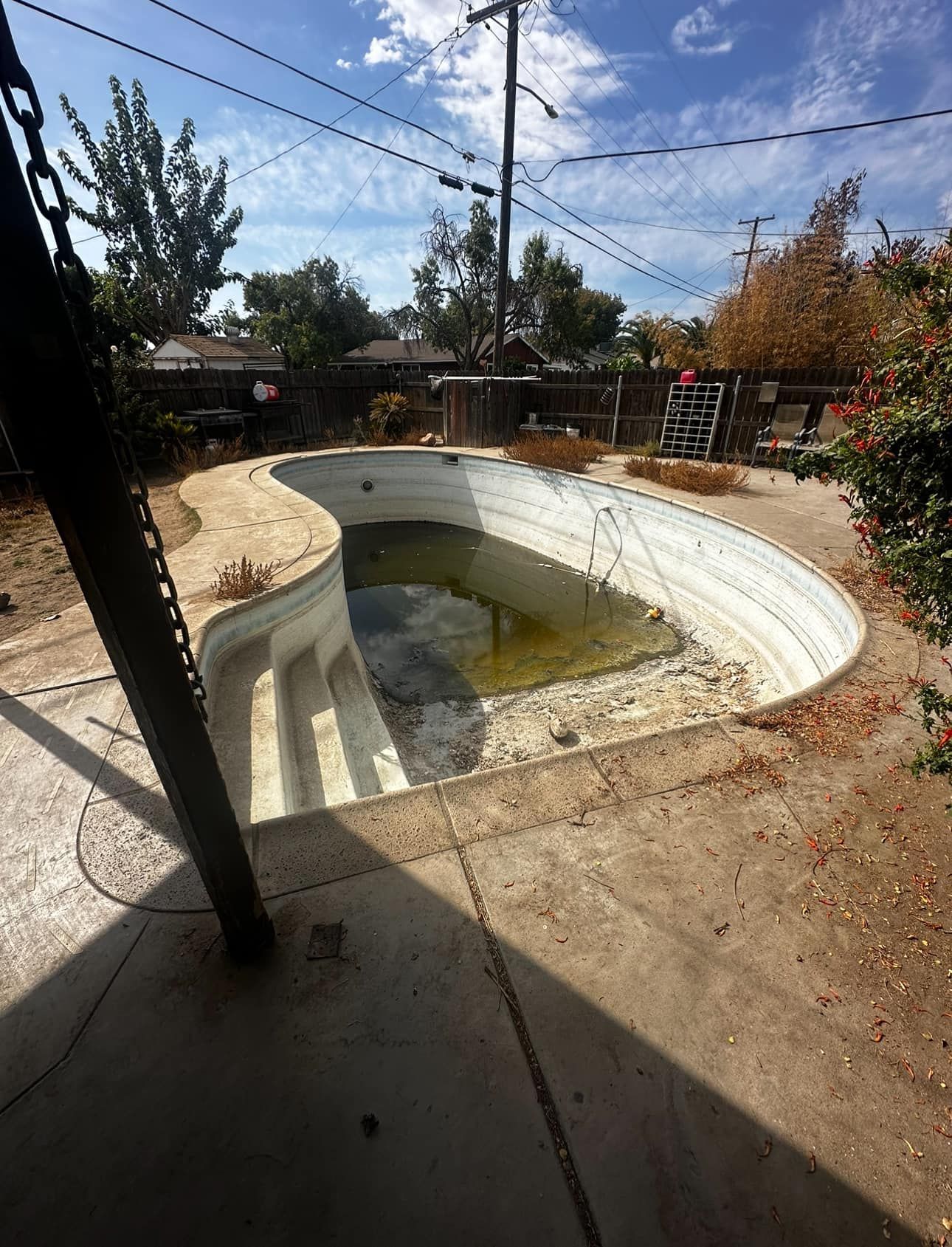 Empty drained backyard pool with cracked white basin and trees under a sunny sky