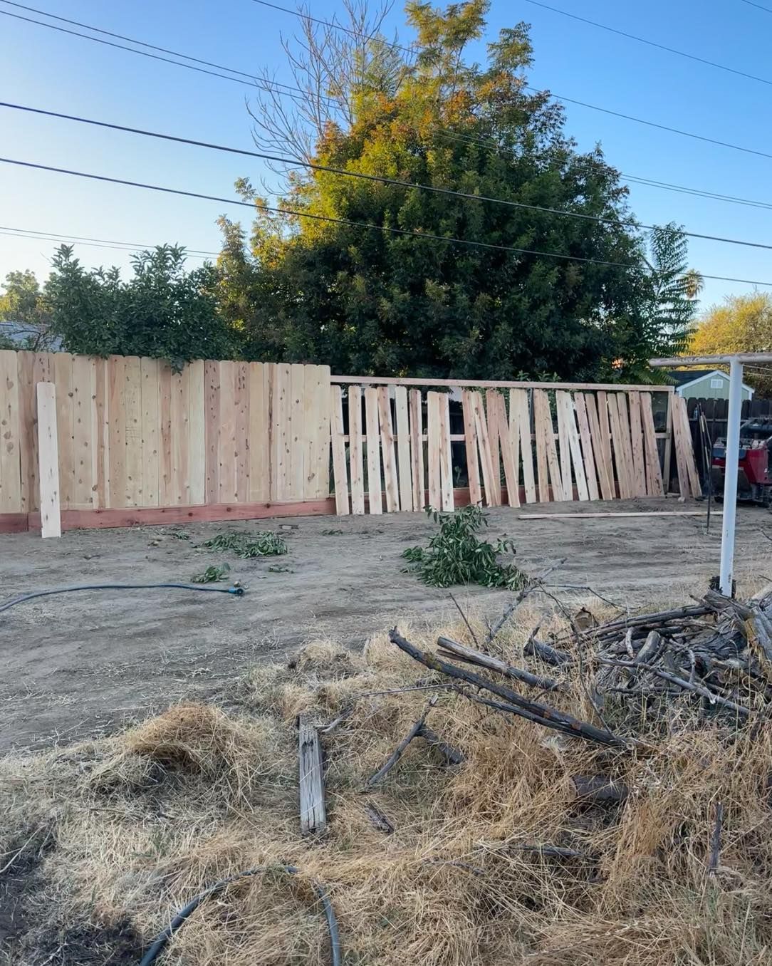 Backyard fence with leaning wooden planks, dry ground, and a large tree behind it.