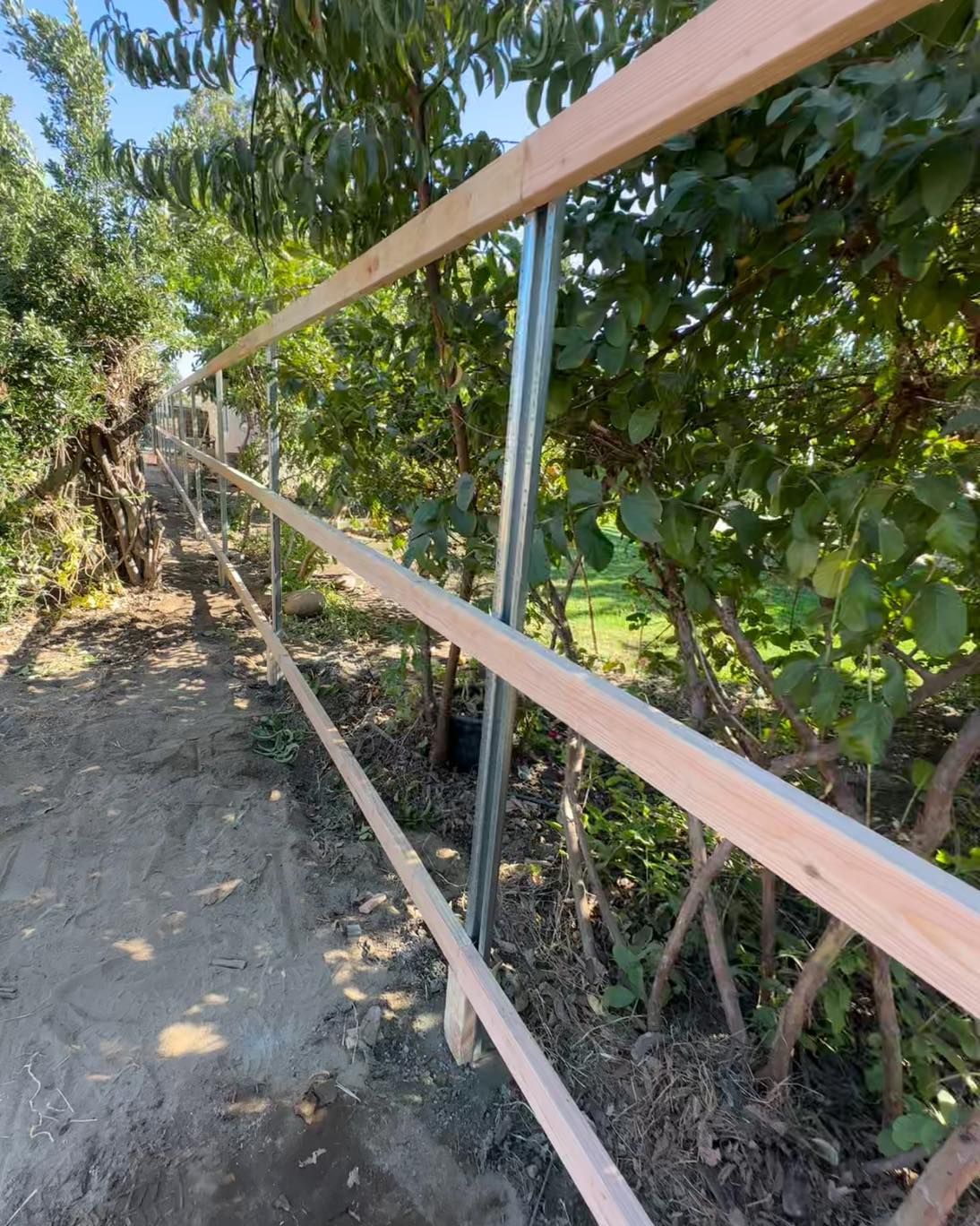 Wooden fence rails beside a dirt path under trees in bright sunlight