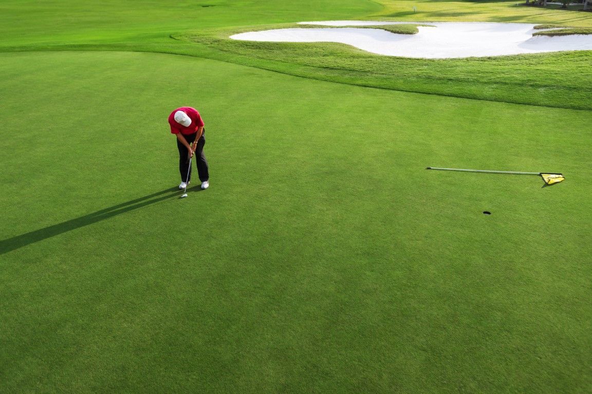A man in a red shirt is putting a golf ball on a green.