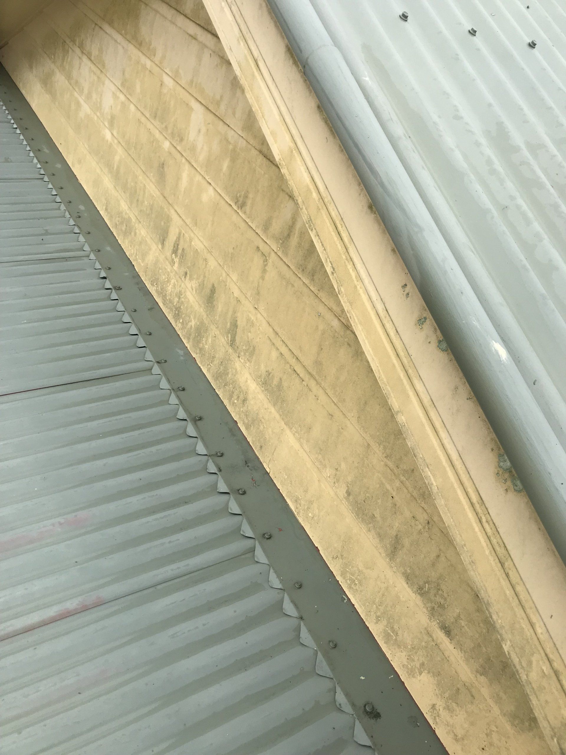 Driveway Cleaning Using Pressure Washer — Derek's Dirty Deeds In Booral, QLD