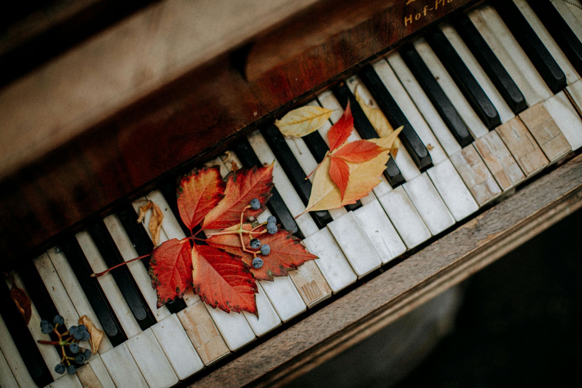 benefits of piano with red leaves on a upright piano