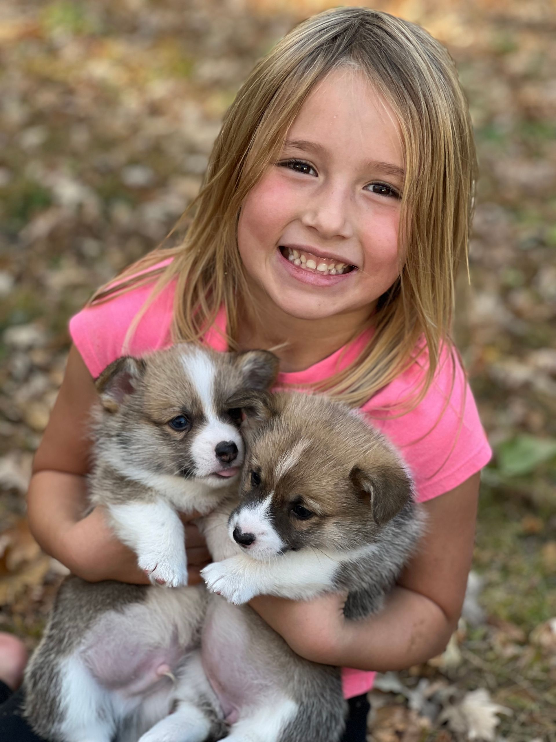 A little girl is holding two puppies in her arms.