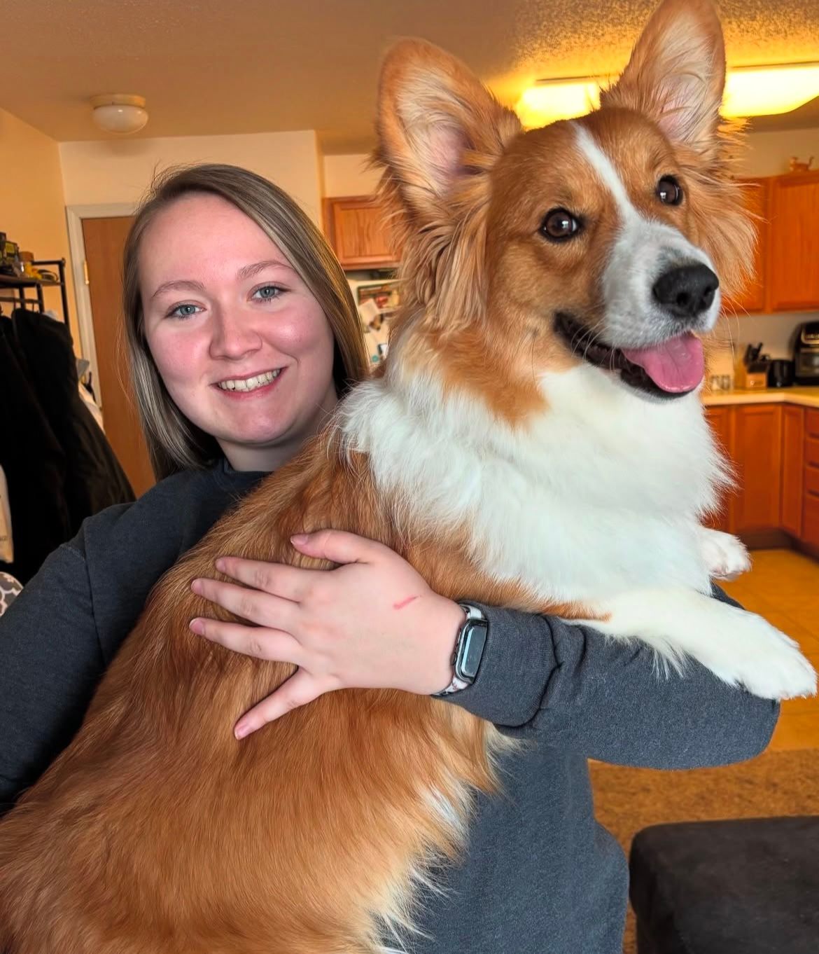 A woman is holding a brown and white dog in her arms.