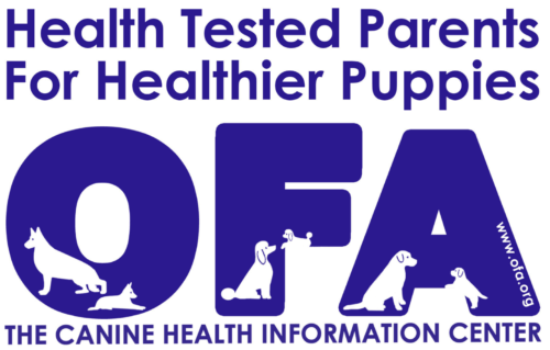 A blue logo for health tested parents for healthier puppies