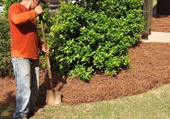 Tucking The Borders — Mableton, GA — Pine Straw Depot