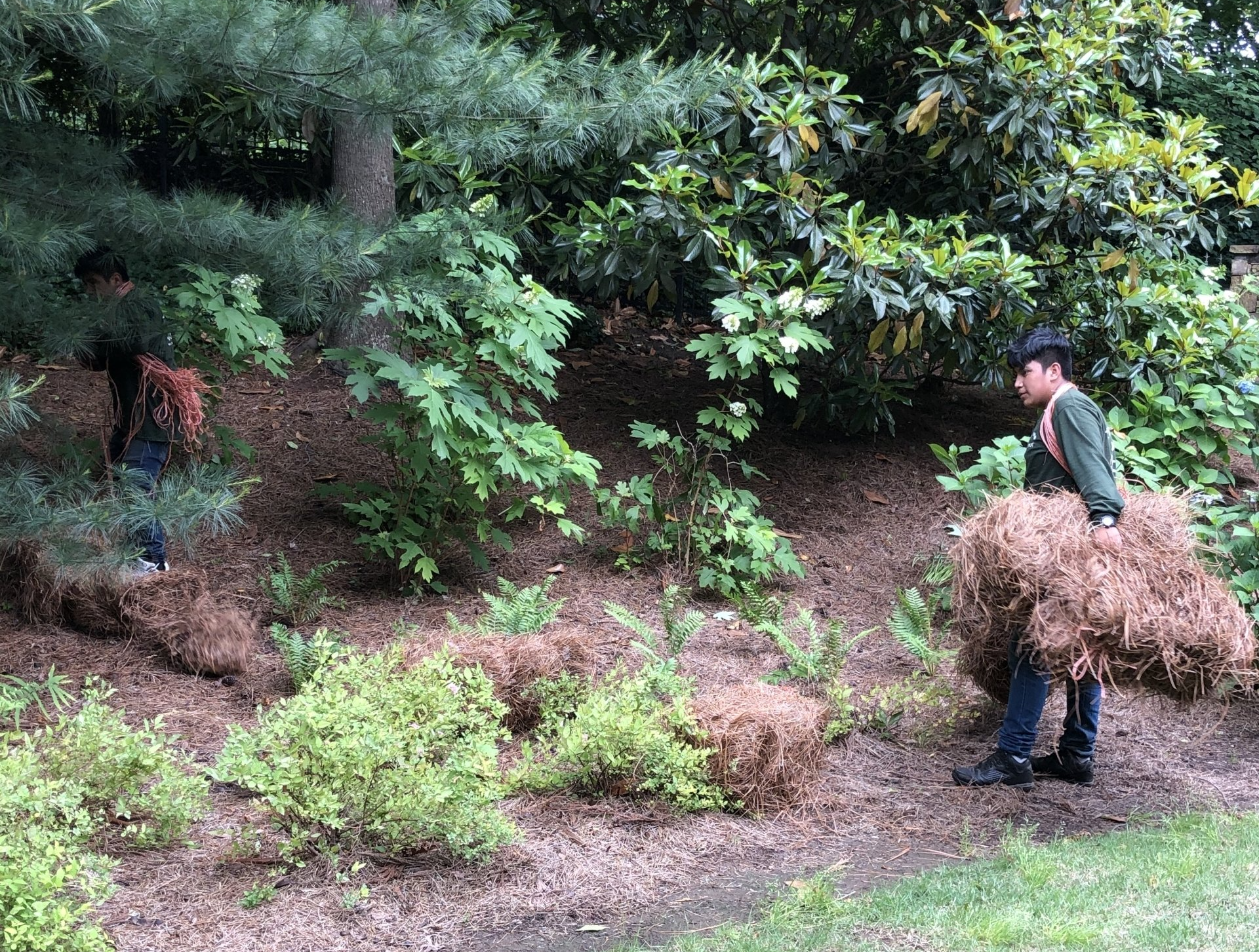 Spreading The Straw — Mableton, GA — Pine Straw Depot