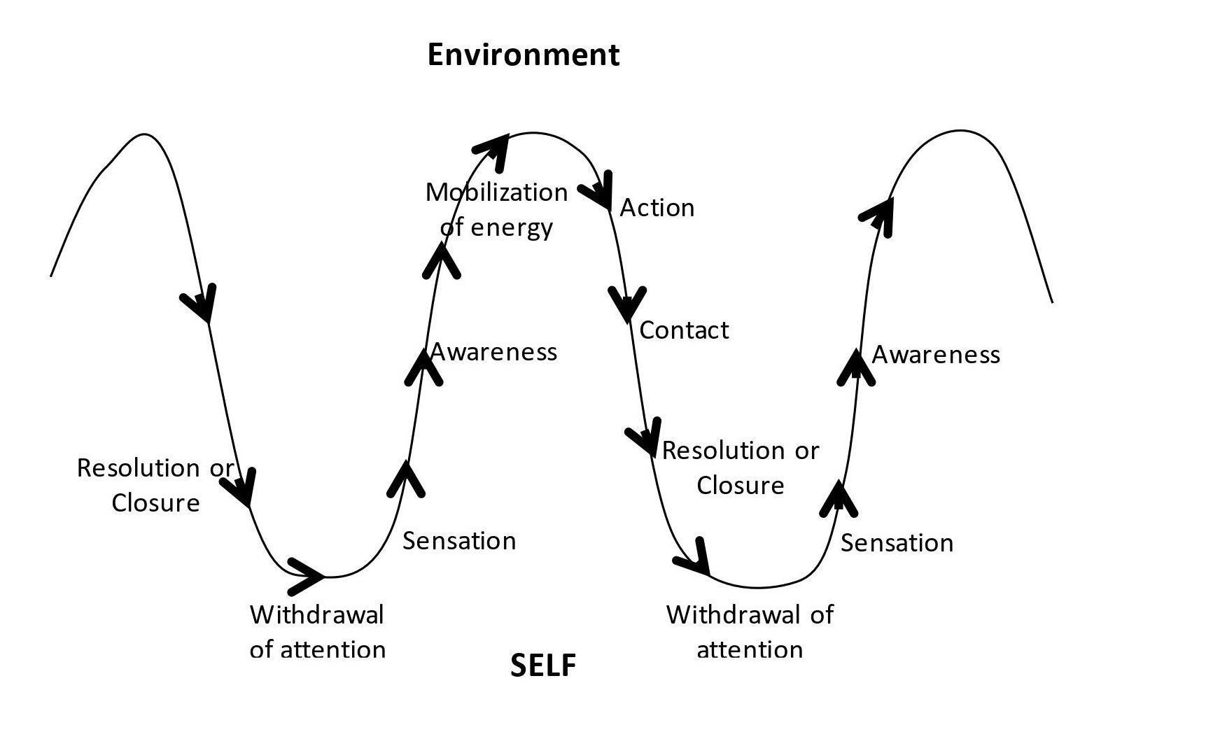 Een diagram van een cyclus van zelf en omgeving