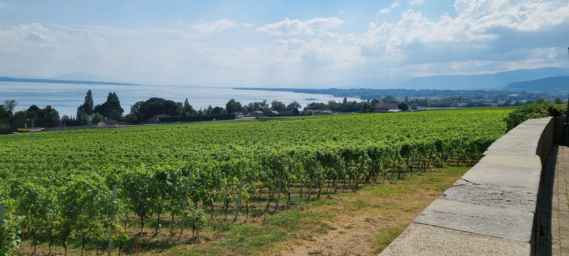 Traiteur évènement