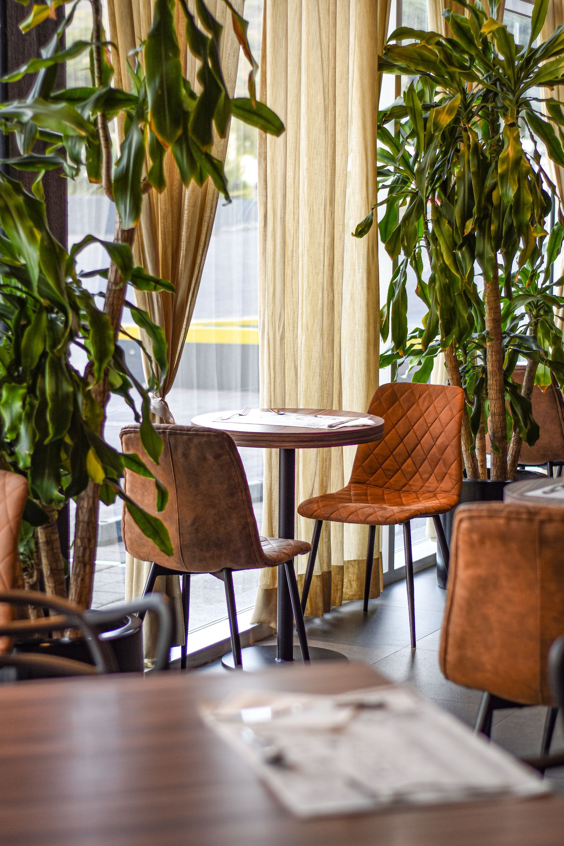 Acogedora escena de cafetería: mesa redonda con dos sillas marrones, exuberante vegetación y una ventana alta con cortinas beige.