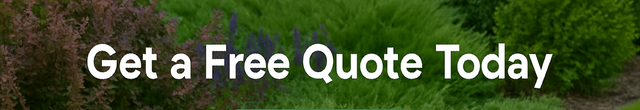 free quote banner