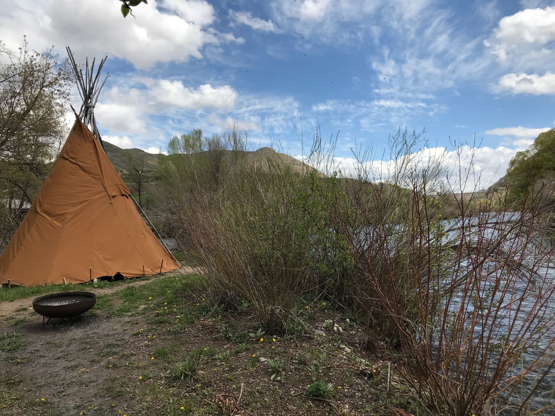 TIPI