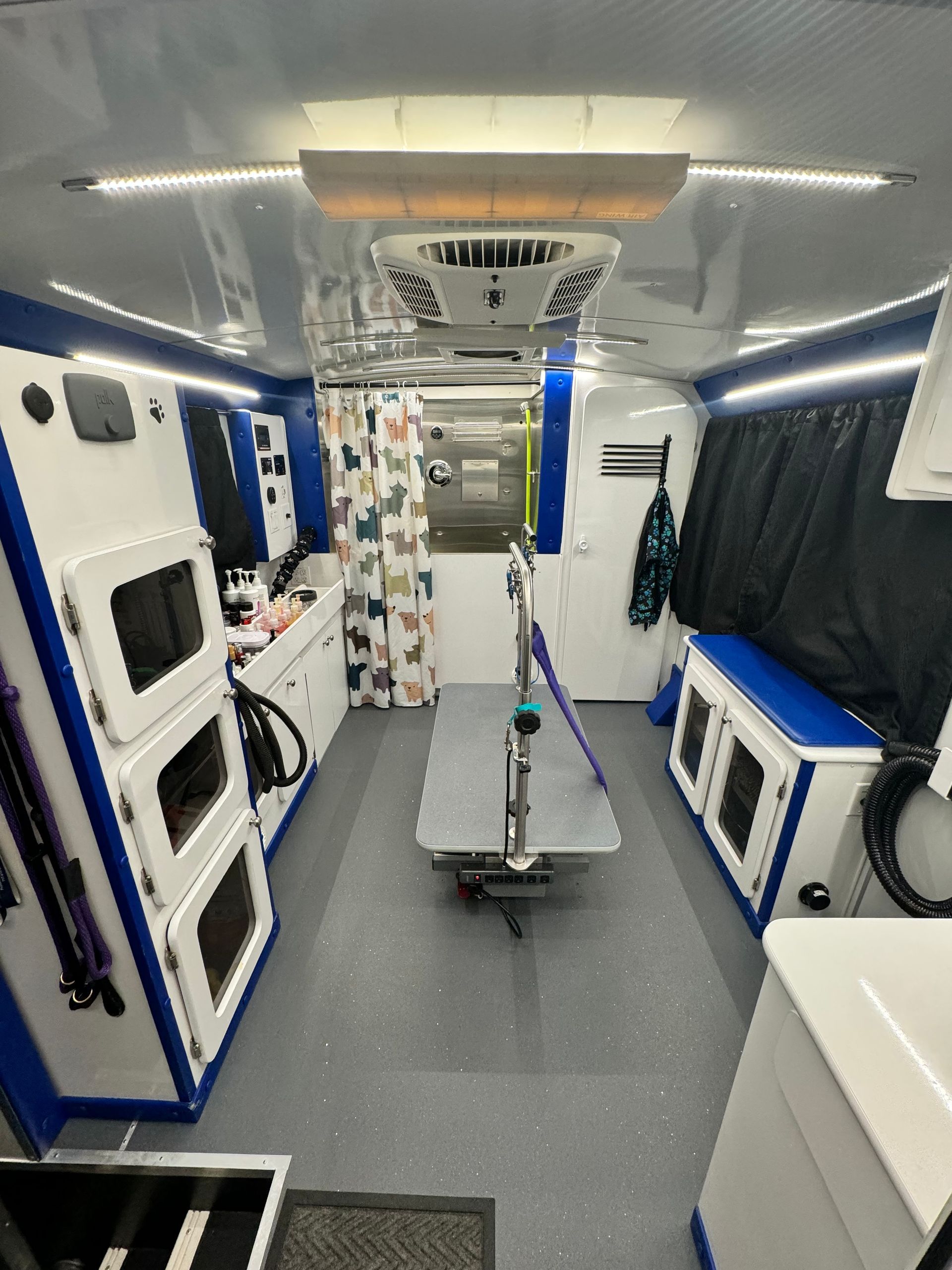 A blue van with a dog on the side is parked in front of a brick house.