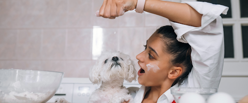 allergy+safe+dog+shampoo