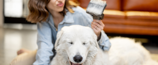 best+dog+grooming+brush