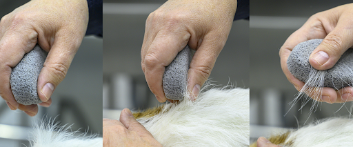 hand+stripping+dog+coat+guide