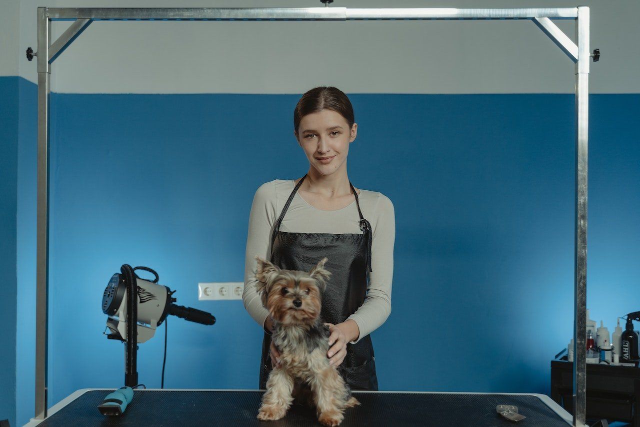 Dog Groomer