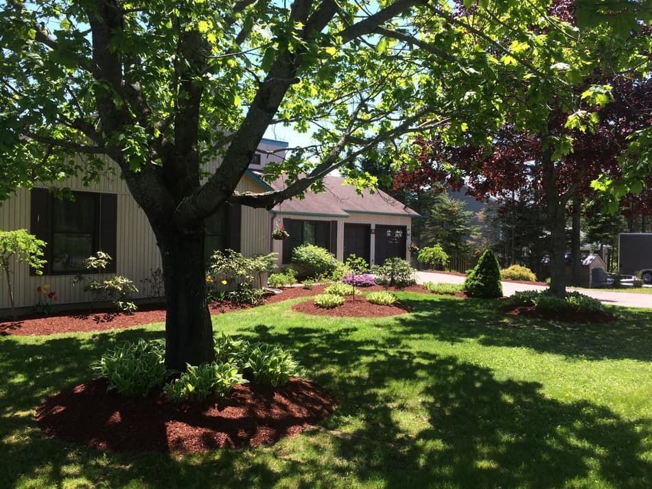 A house with a lot of trees in front of it