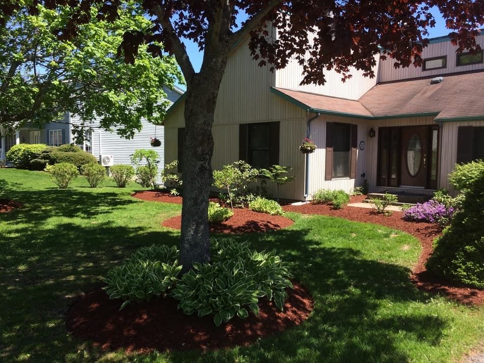 A house with a tree in front of it