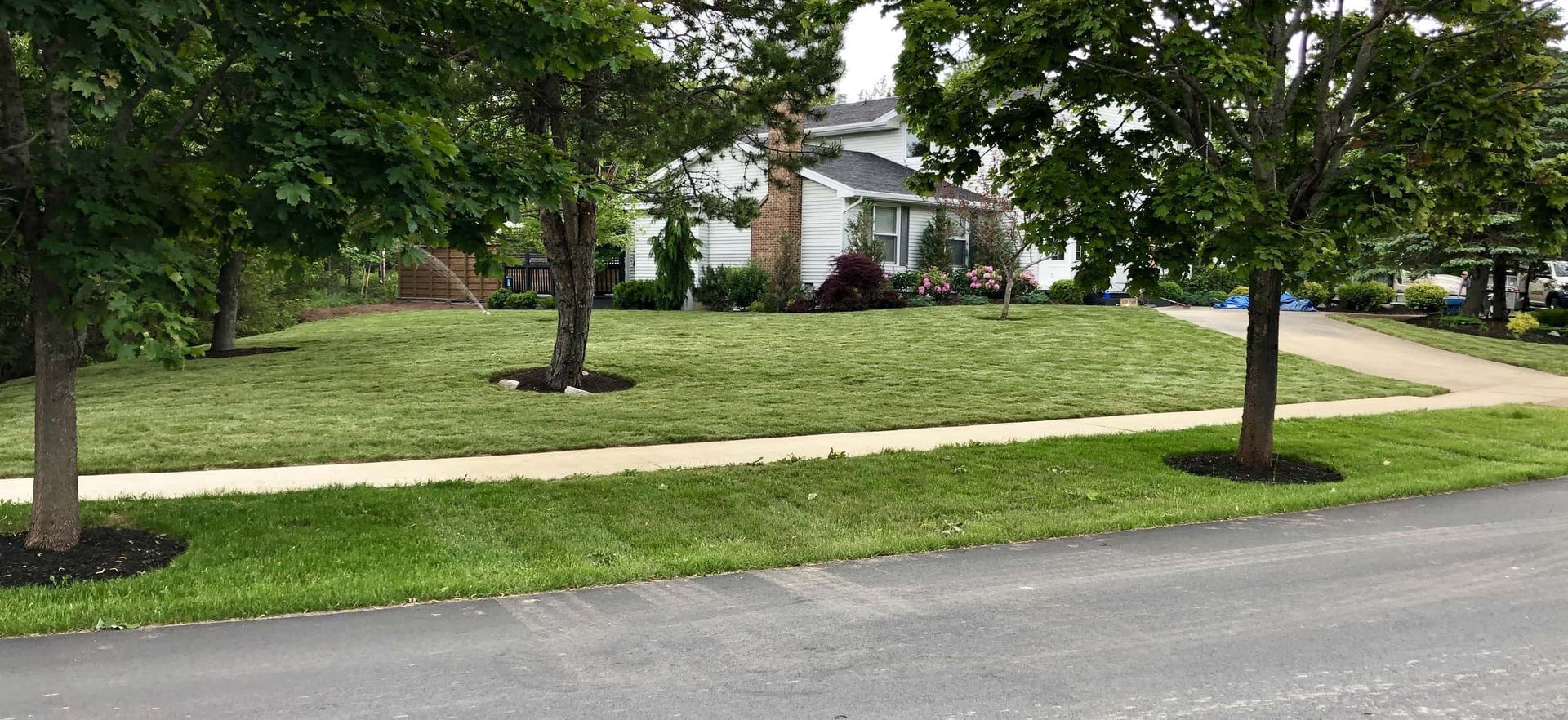 A lush green yard with trees and a house in the background.