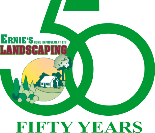 A 50th anniversary logo for ernie 's landscaping