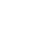 domestic electrical services logo