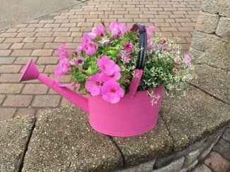 Pink Watering Can Pot — Highland, IN — Allen Landscape in Highland, LLC