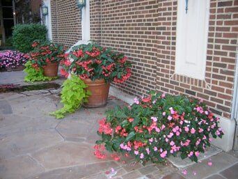 Potted Flowers — Highland, IN — Allen Landscape in Highland, LLC