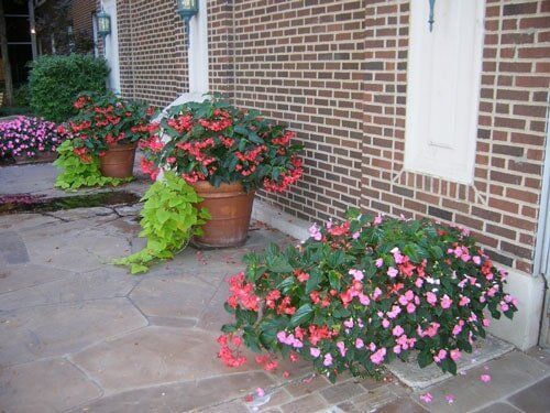 Potted Plants — Highland, IN — Allen Landscape in Highland, LLC