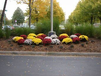 Roadside Flowers — Highland, IN — Allen Landscape in Highland, LLC