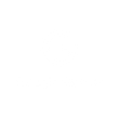 Google Partner Badge
