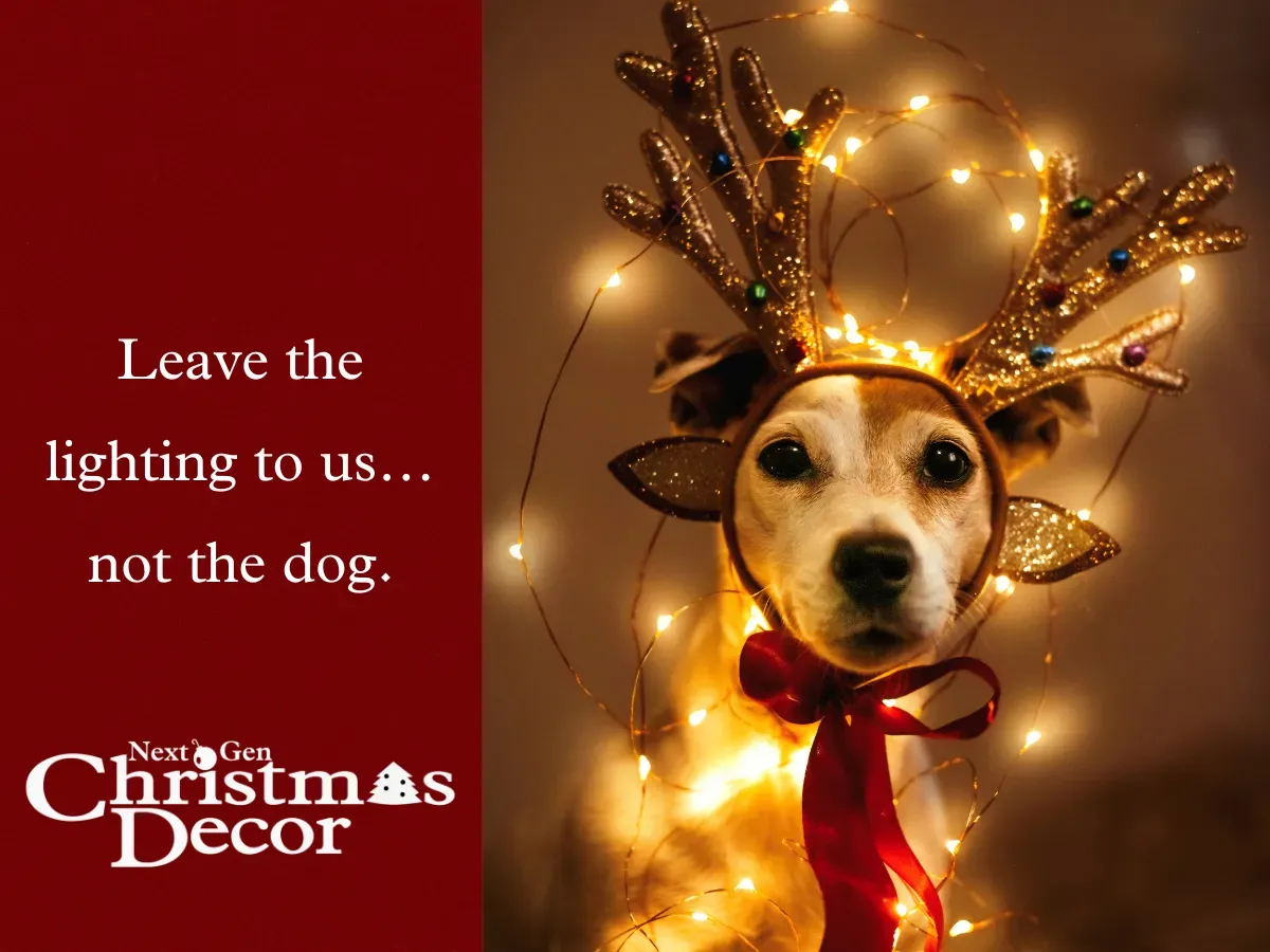 Dog wearing reindeer antlers and red bow, surrounded by Christmas lights. Text: