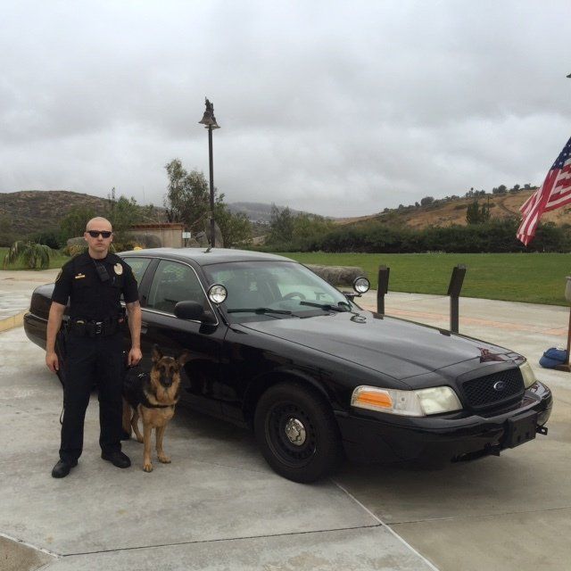 Police Dog — San Marcos, CA — Wyatt & Associates Protection Division