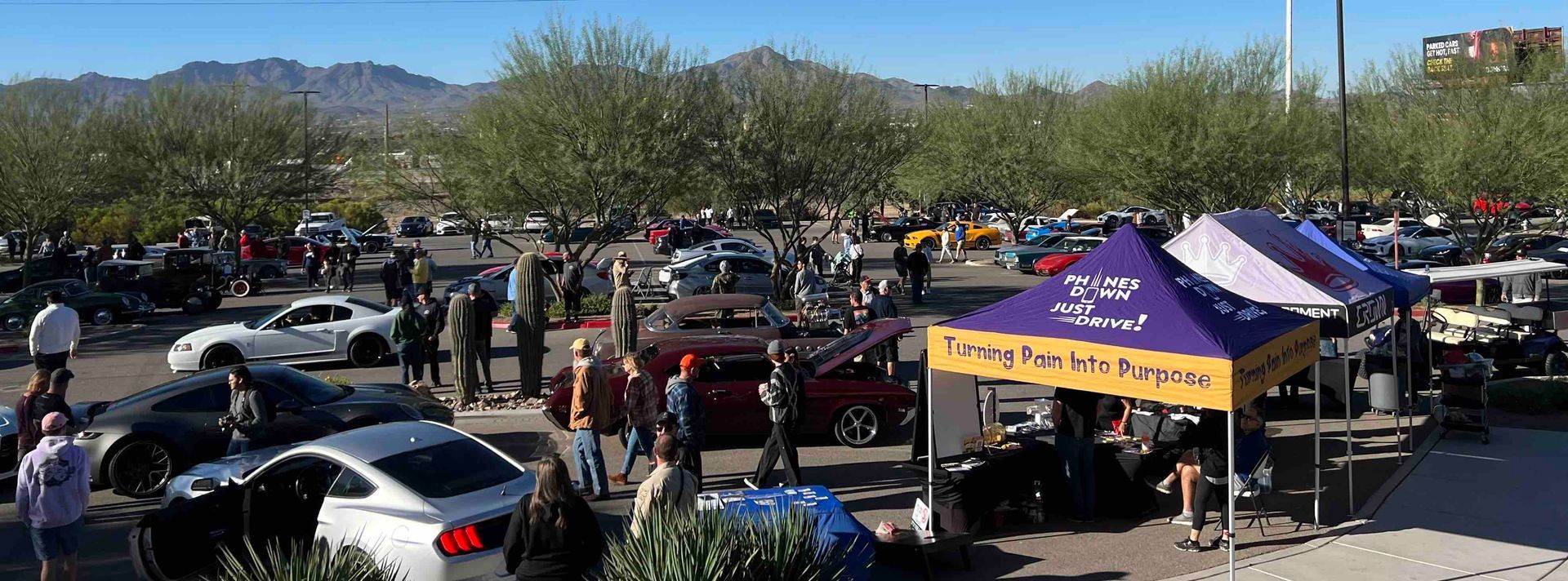 A lot of cars are parked in a parking lot.