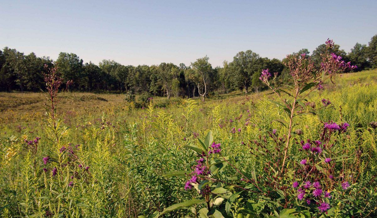 adams county prairie scene