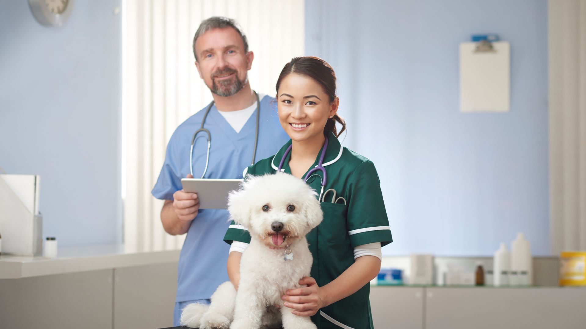 two vets with a dog