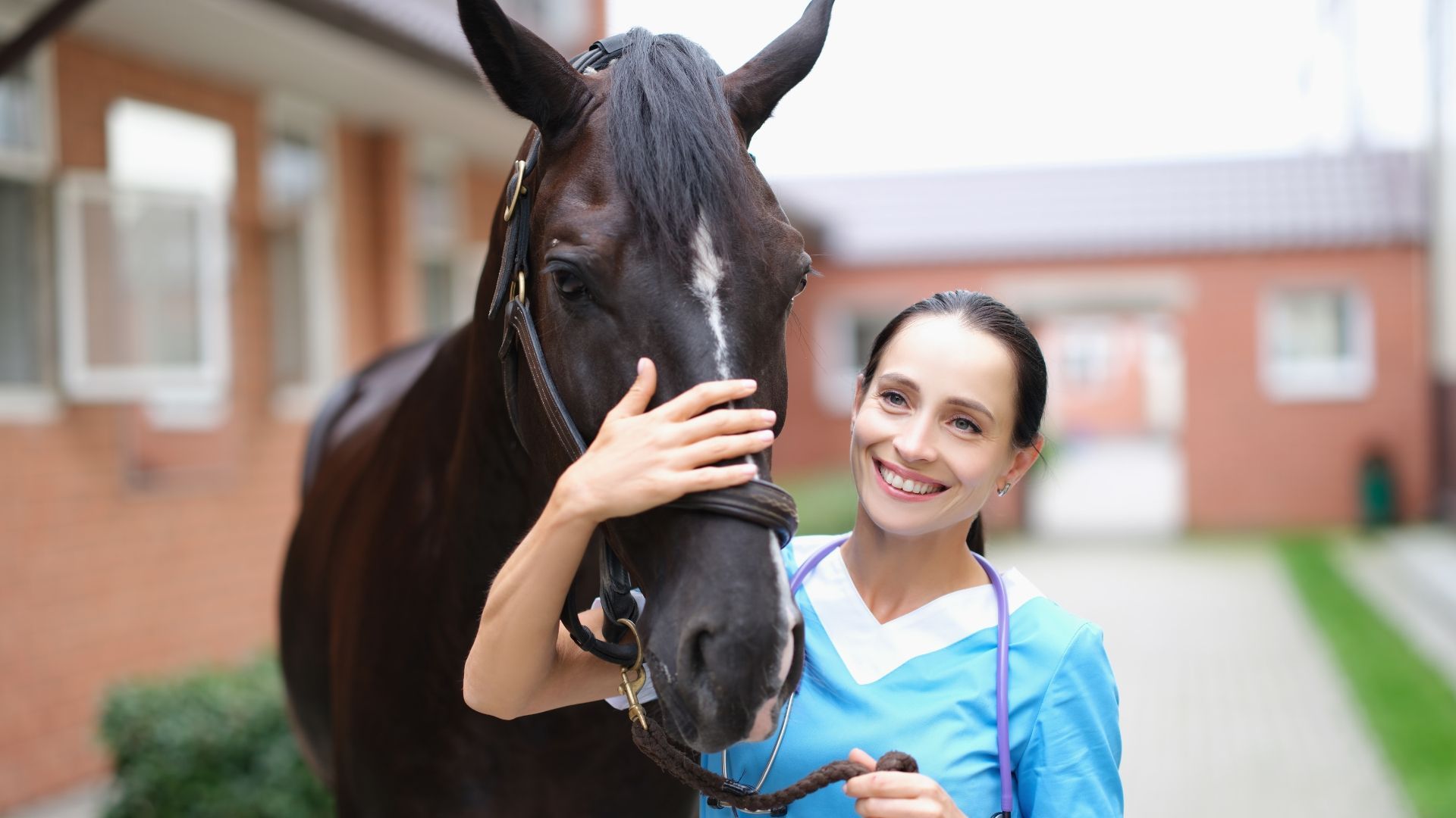 Why Veterinarian Hiring Should be Outsourced