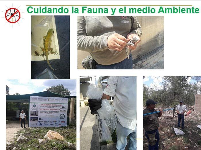 UAY - CUIDADO DE FAUNA Y MEDIO AMBIENTE