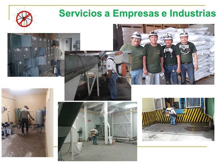 UAY - SERVICIOS A EMPRESAS