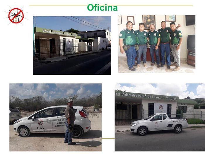 UAY - OFICINA