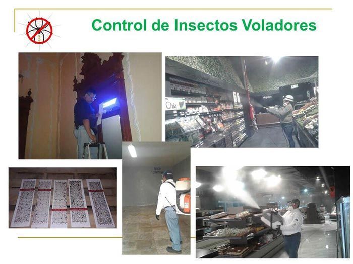 UAY - CONTROL DE INSECTOS VOLADORES