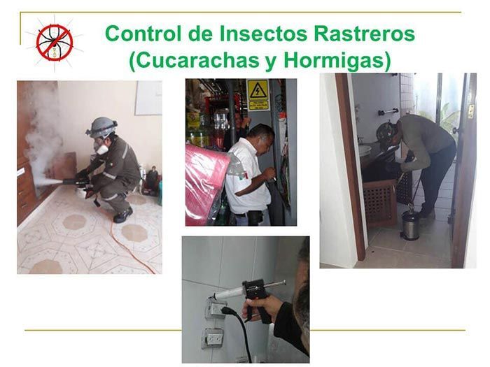 UAY - CONTROL DE INSECTOS RASTREROS