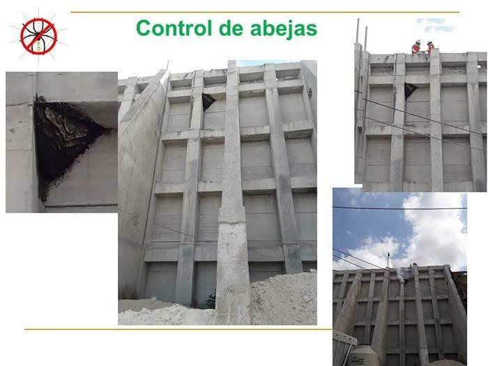 UAY - CONTROL DE ABEJAS