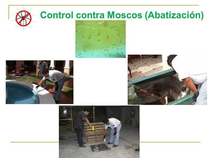 UAY - CONTROL CONTRA MOSCOS