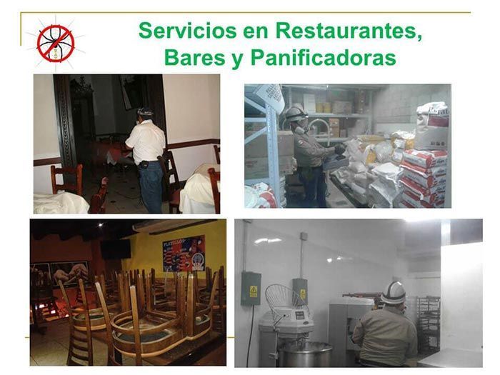 UAY - Servicios en restaurantes, bares