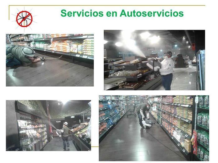 UAY - SERVICIOS EN AUTOSERVICIOS