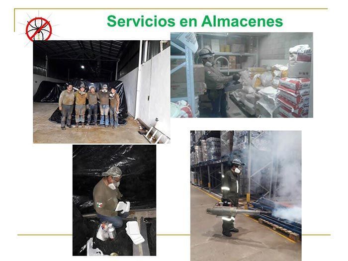UAY - SERVICIOS EN ALMACENES